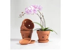 Orchid Pottery: Beautiful Ceramic Pots for Healthy Orchid Growth