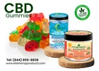 Boost Your Day with Power CBD Gummies