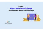 Expert White Label Crypto Exchange Development – Launch Within Days