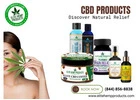 Premium CBD Products for Everyday Wellness