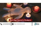 Black Magic Removal in Woodgreen – Master Shiva