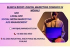 Blink N Boost - Digital Marketing Company in Mohali