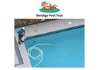 Crystal-Clear Results with Same Day Pool Cleaning in Toorak