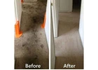 Expert Carpet Restoration in Sunshine Coast for Fresh, Revived Floors