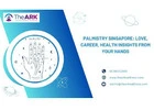 Palmistry Singapore: Love, Career, Health Insights from Your Hands