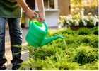 Professional Gardening & Yard Care Experts in Your Area