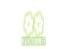 Best Florist in Essendon – Fresh Flowers & Same Day Delivery