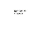 flower delivery Yarraville -  Blossom of Wyndham