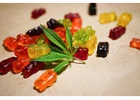 Camino Cannabis Gummies In Ohio