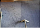 Expert Carpet Cleaning Solutions in Seattle