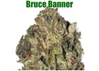 Buy Bruce Banner online in Canada