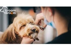 Pet Grooming Home Service: Expert Dog & Cat Spa in Your House