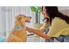 Expert Pet Grooming Near Me: Puppy’s First Groom & Full Styling