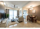 2 BHK Flats for Sale in Greater Noida