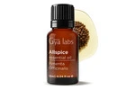 Gya Labs Allspice Essential Oil – Crafted for Everyday Use