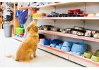 Family-Friendly Pet Store in Singapore with Expert Care