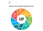 Salesforce Accounting ERP Integration Services