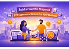 Build a Powerful Magento B2B Ecommerce Website for Your Business