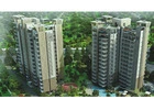 Unlock Premium Properties in Gurgaon with Naveen Associates