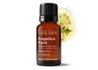 A Rich Botanical Aroma – Angelica Root Essential Oil