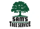 Tree Removal Services Rohnert Park