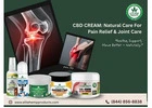 CBD Cream: A natural care for Pain Relief and Joint Care