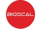 Bigscal The Ultimate Software Development Company