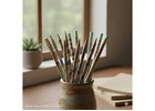 Paper Pencils – Eco-Friendly & Recyclable Pencils for Everyday Writing