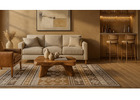 Best Living Room Rugs Picks
