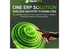 Boost Growth with OpenPro Cloud ERP Software Now