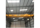 Double Girder EOT Crane Manufacturer