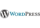 Expert WordPress Development Services India That Deliver Results