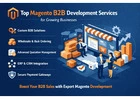 Top Magento B2B Development Services for Growing Businesses