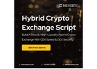 Best Hybrid Crypto Exchange Script for Startups