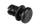 Headrest Fixing Plug for Hot Tubs