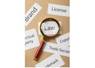 Professional Trademark Advocate for Brand Rights and Compliance