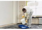 Affordable Professional Painters in Victoria BC for Home’s New Look